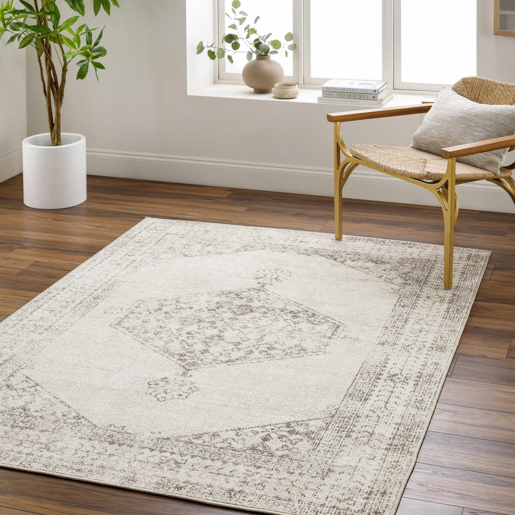 Our PNW Home Olympic Updated Traditional Area Rug-1